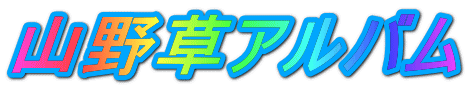 山野草アルバム 